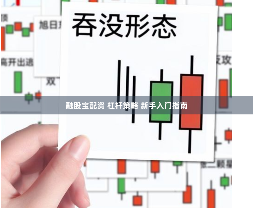 融股宝配资 杠杆策略 新手入门指南
